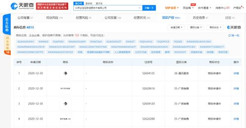 快手科技拓展電商版圖 申請“116快手電商購物狂歡節”相關商標，強化計算機軟硬件技術開發